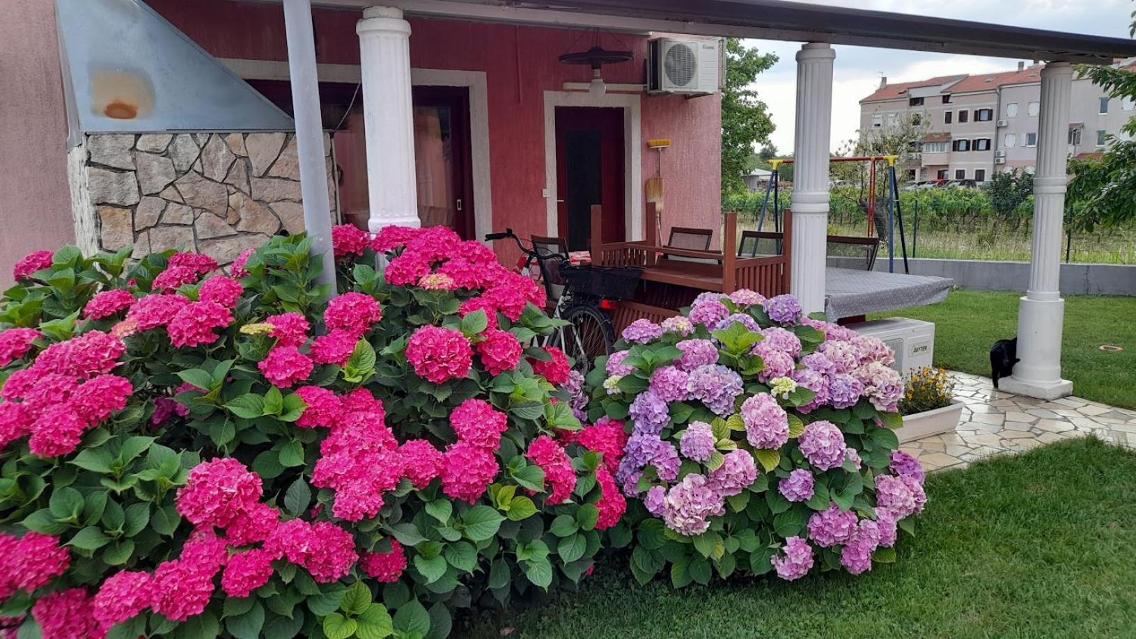 Apartments Dragica Porec Luaran gambar